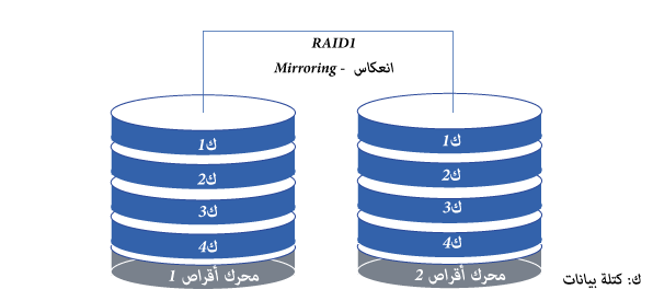 RAID 1 topology and data blocks distribution 
